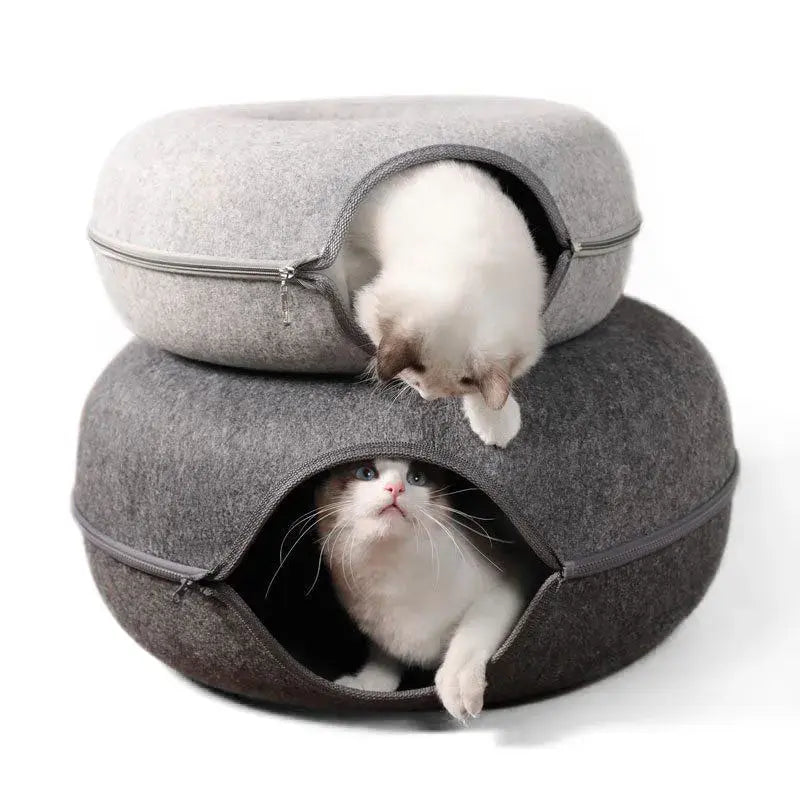3qhShX2GAzbry5u.webp
